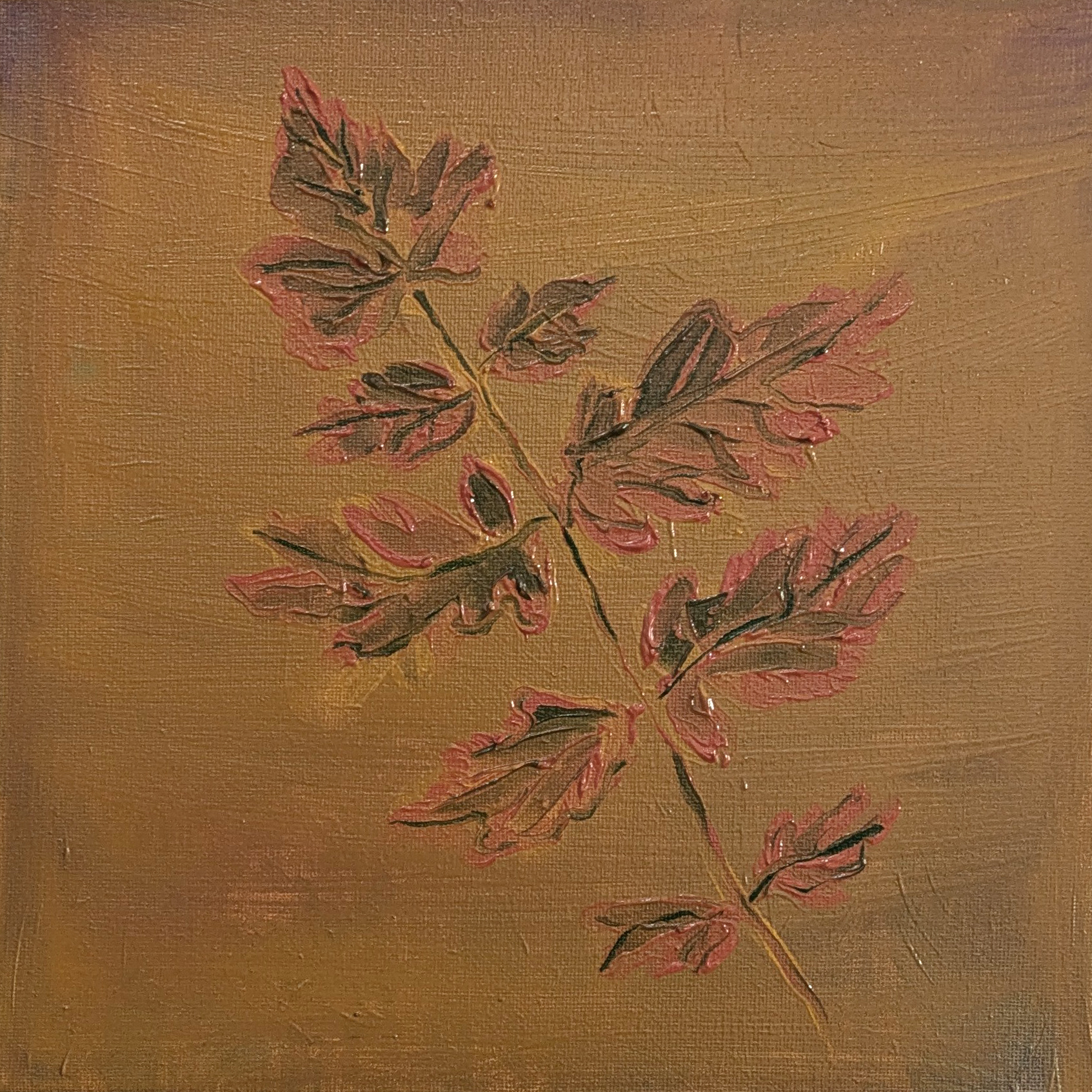 Leaf Study